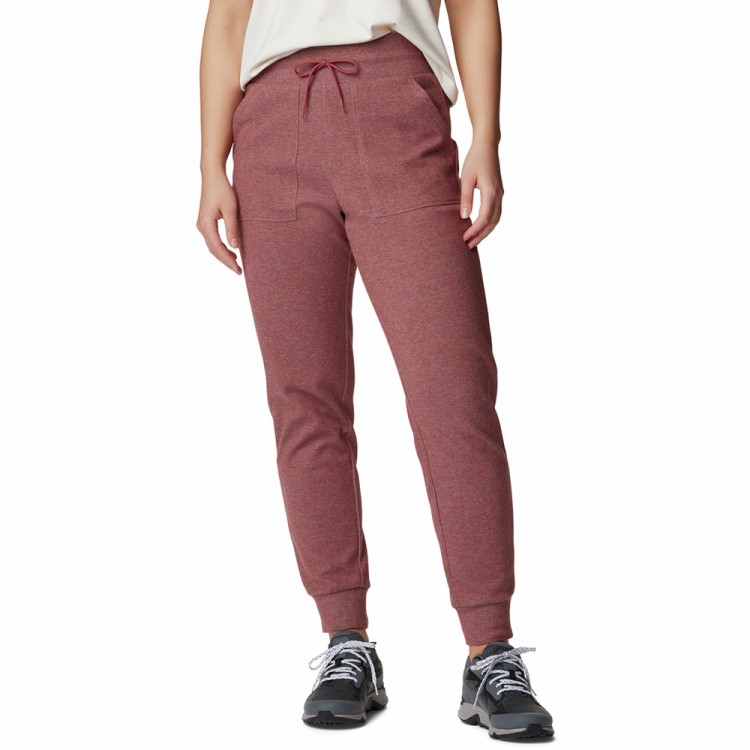 Брюки женские Columbia Calico Basin™ Fleece Jogger бордовые 2052281-679 изображение 1