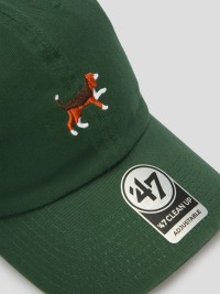 Кепка унисекс 47 Brand DOG BASE RUNNER ICON зеленая BSRIC1411GWS-DGA изображение 3