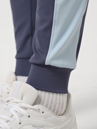 Брюки мужские Radder Atticus голубые 922505-400 изображение 4