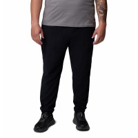 Брюки мужские Columbia Sequoia Grove™ Pant черные 2135522-010 изображение 1