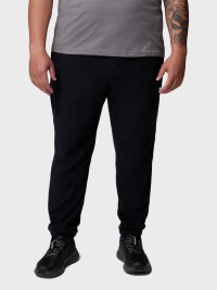 Брюки мужские Columbia Sequoia Grove™ Pant черные 2135522-010 изображение 2