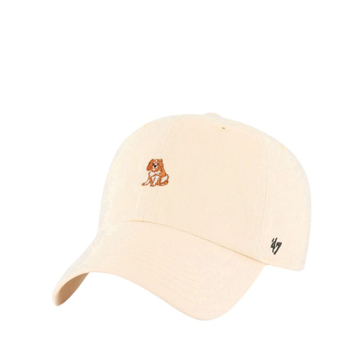 Бейсболка унисекс 47 Brand DOG BASE RUNNER ICON бежевая BSRIC1411GWS-NTI