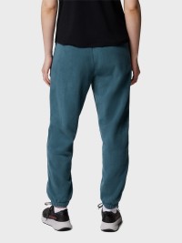 Брюки женские Columbia Sequoia Grove™ Fleece Pant бирюзовые 2136211-429 изображение 4