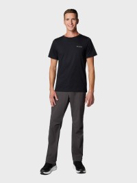 Футболка мужская Columbia Rapid Ridge™ Back Graphic Tee II черная 1934821-004 изображение 7