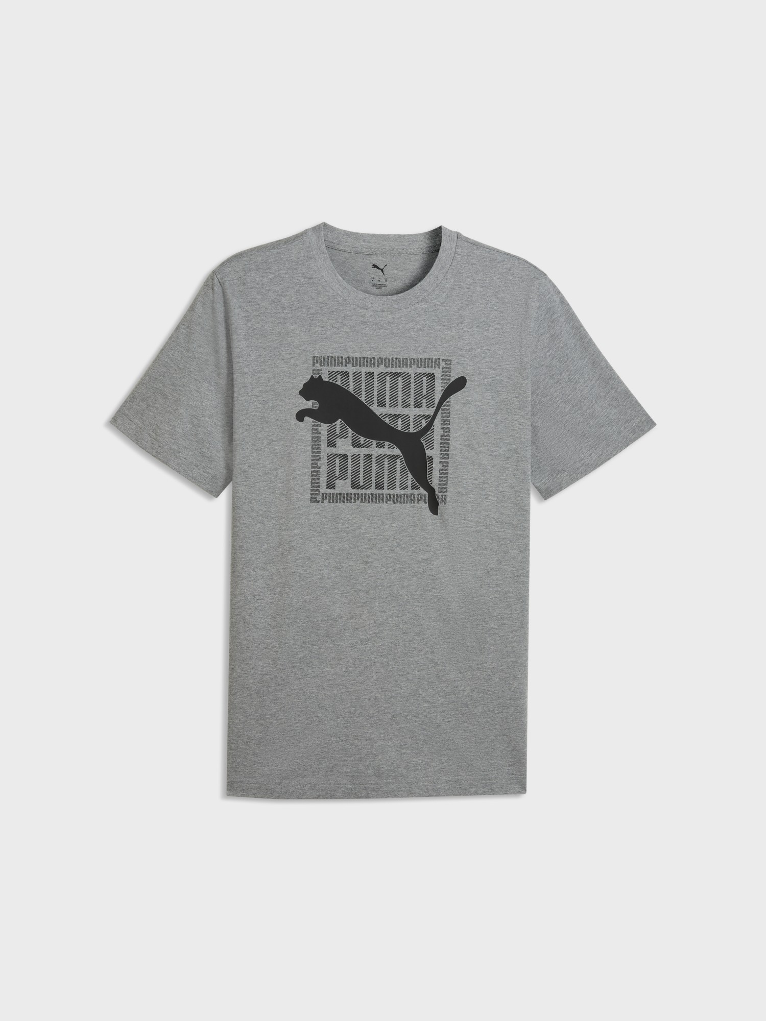Футболка мужская Puma GRAPHIC Wording Tee серая 69177503 изображение 2