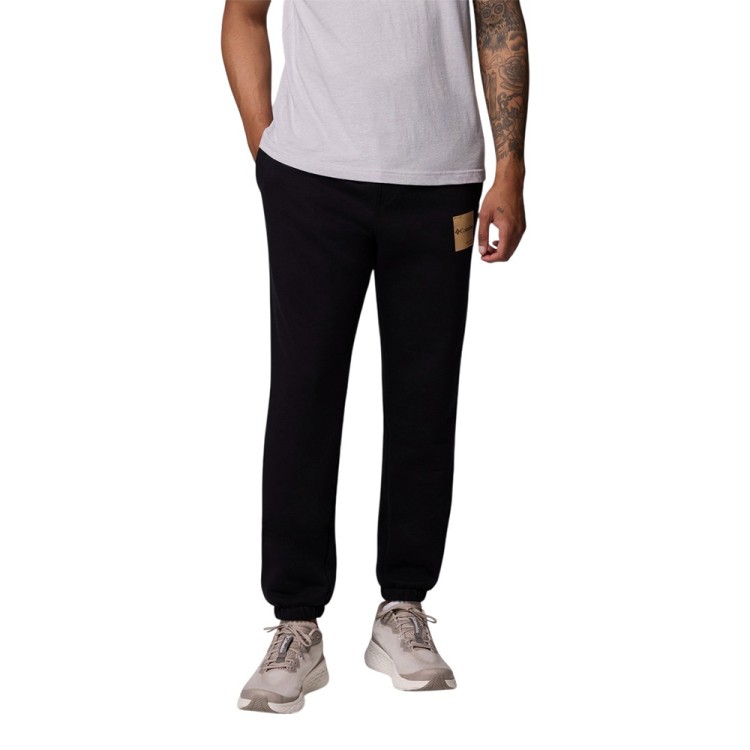 Брюки мужские Columbia Beaumount™ Jogger черные 2126401-008 изображение 1