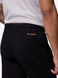 Брюки мужские Columbia Beaumount™ Jogger черные 2126401-008 изображение 6