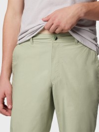 Брюки мужские Columbia Washed Out™ Pant хаки 1657741-348 изображение 5
