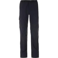 Брюки мужские Columbia Silver Ridge Cargo Pant черные 1441681-010 изображение 1
