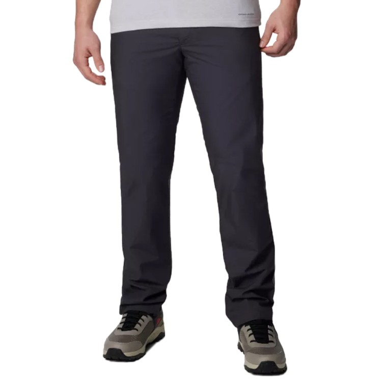 Брюки мужские Columbia Washed Out™ Pant серые 1657741-012 изображение 1