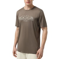 Футболка мужская Larum Dylan коричневая 942501-200 изображение 1