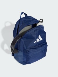 Рюкзак  Adidas CLSC BARS BP темно-синий IS7049 изображение 7