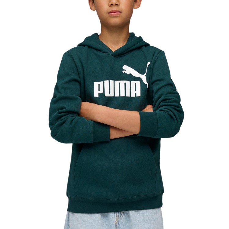 Толстовка детская Puma ESS No. 1 Logo Hoodie FL зеленая 68490875 изображение 1