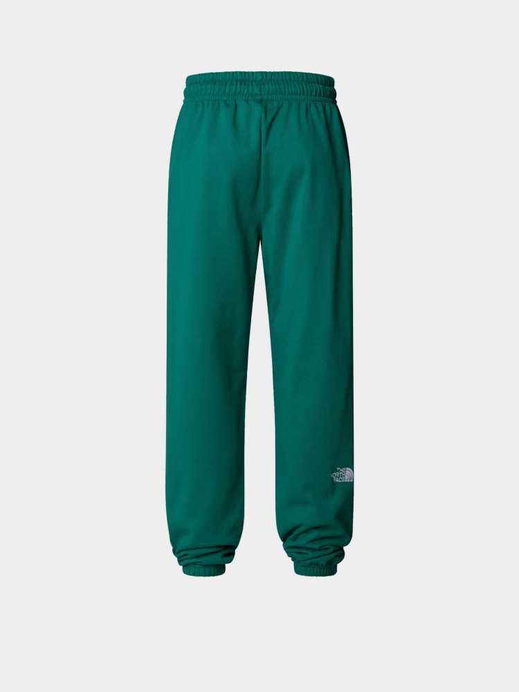 Брюки женские The North Face W ESSENTIAL зеленые NF0A8A6KNL11 изображение 1