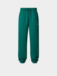 Брюки женские The North Face W ESSENTIAL зеленые NF0A8A6KNL11 изображение 2