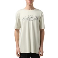 Футболка мужская Larum Dylan серая 942501-011