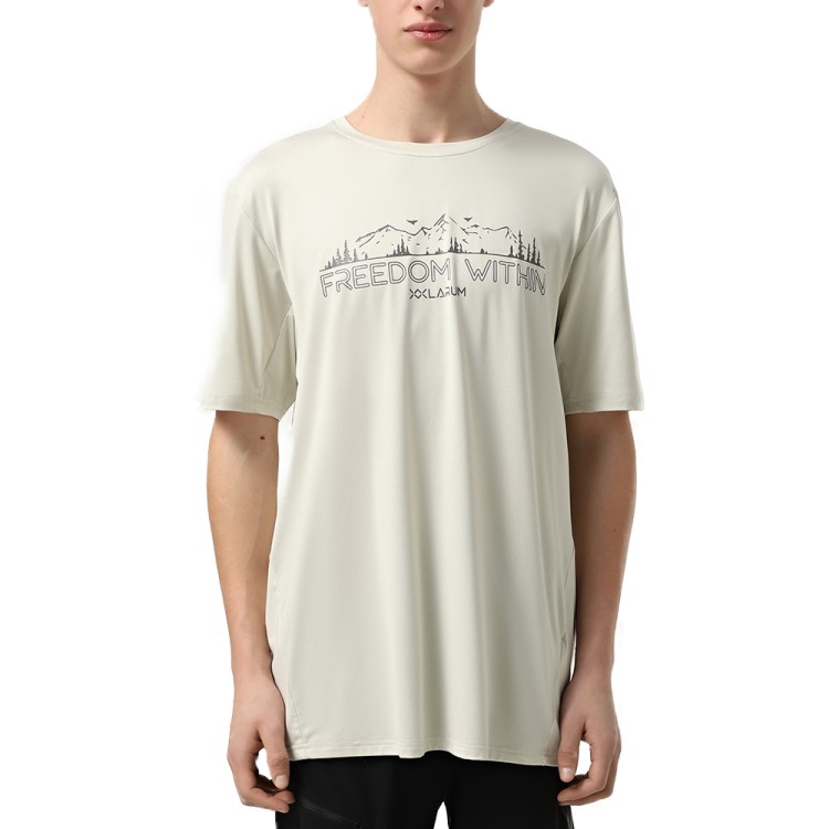 Футболка мужская Larum Dylan серая 942501-011 изображение 1
