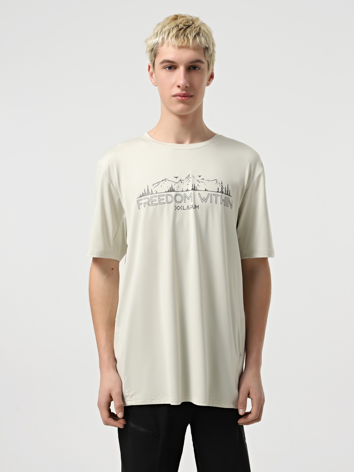Футболка мужская Larum Dylan серая 942501-011 изображение 2